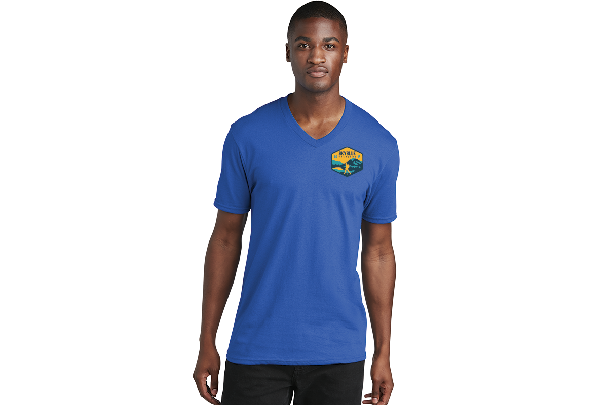 PC54V Port & Company® Core Cotton V-Neck Tee. S-4XL