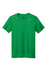 DV7299 Nike Team rLegend Tee
