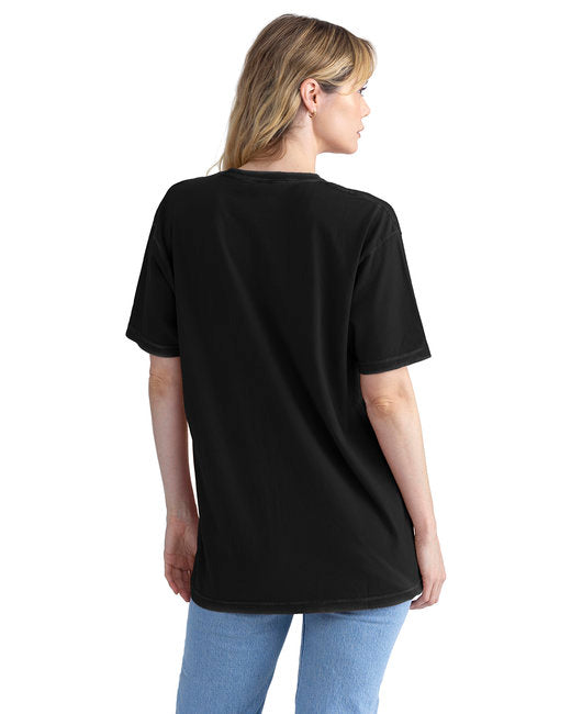 3600SW Next Level Apparel Unisex Soft Wash T-Shirt